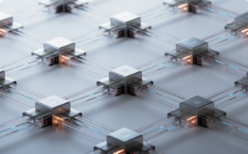 IoT Networks
